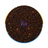 Colza ou semente de canola, usado na alimentação de pássaros.